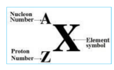 <p>consists of small, dense positively charged nucleus consisting of protons and neutrons, surrounded by negatively charged electrons</p><ul><li><p>Proton number (atomic number) - is the number of protons in the nucleus of an atom</p></li><li><p>nucleon number (mass number) -&nbsp;is the total number of protons and neutrons in the nucleus of atom</p></li><li><p>the mass of an atom is concentrated in the nucleus, because the nucleus contains the heaviest subatomic particle</p></li></ul><ul><li><p>the electrostatic charge between positive nucleus and negatively charged electrons holds an atom together</p></li></ul><p></p>