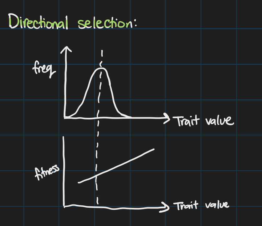 <ul><li><p>mean continues to rise</p></li><li><p>variance doesn’t change</p></li></ul>