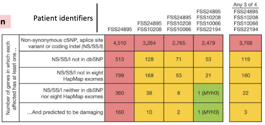 <ul><li><p>exome sequencing identifies causal mutations even in a small patient pool</p></li><li><p>mutations in embryonic myosin MYH3 are thought to cause Freeman-Sheldon syndrome, a severe congenital joint disorder</p><ul><li><p>NS/SS/I = potential damaging mutation</p></li></ul></li><li><p>exome sequencing: MYH3 was the only damaged coding region in all 4 affected patients and not found in a public database of common SNPs, or in 8 control individuals</p></li><li><p>figure: as you compare patient genome and reference genome, you narrow down which gene is the problem (where the mutation is)</p></li></ul><p></p>