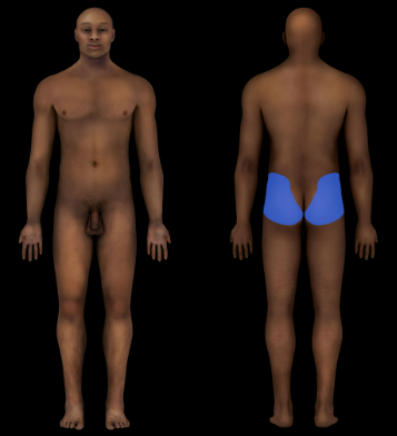 Gluteal Region