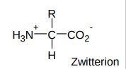 <ul><li><p>amino acids are always charged</p></li><li><p>exist as dipolar zwitterions</p></li></ul><p></p>