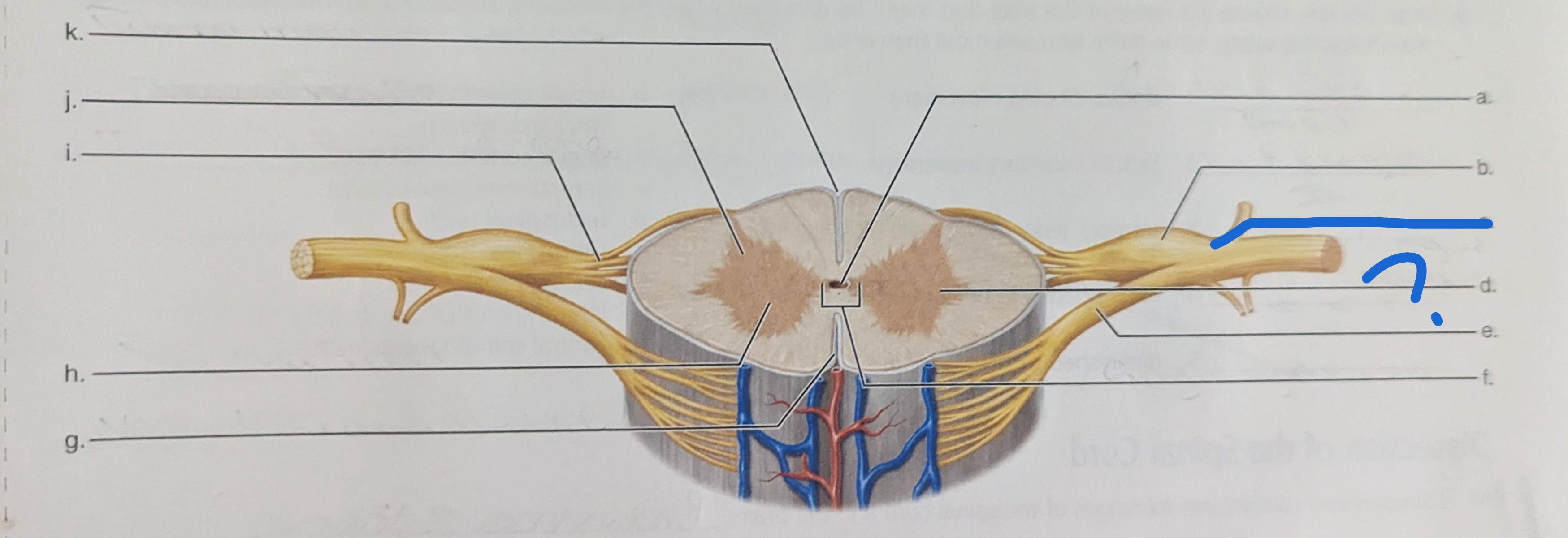 <p>What is the name of this?</p>