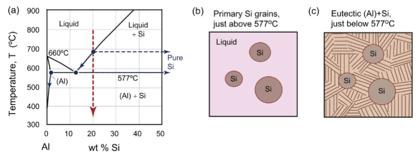 <p>those with a higher composition of species β and a lower composition of species α than the eutectic composition</p><p>Eutectic-like reaction but above the eutectic composition</p>