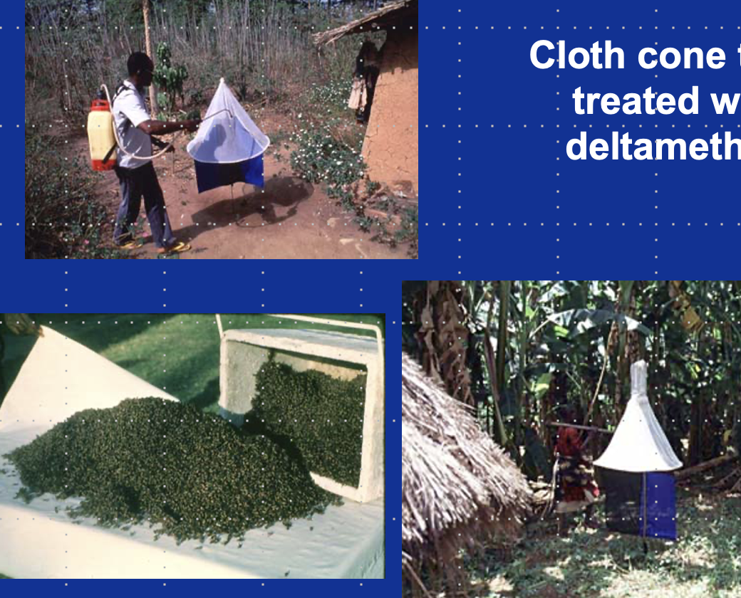 <p>Traps and Targets: What trap is this called and what is it treated with?</p>