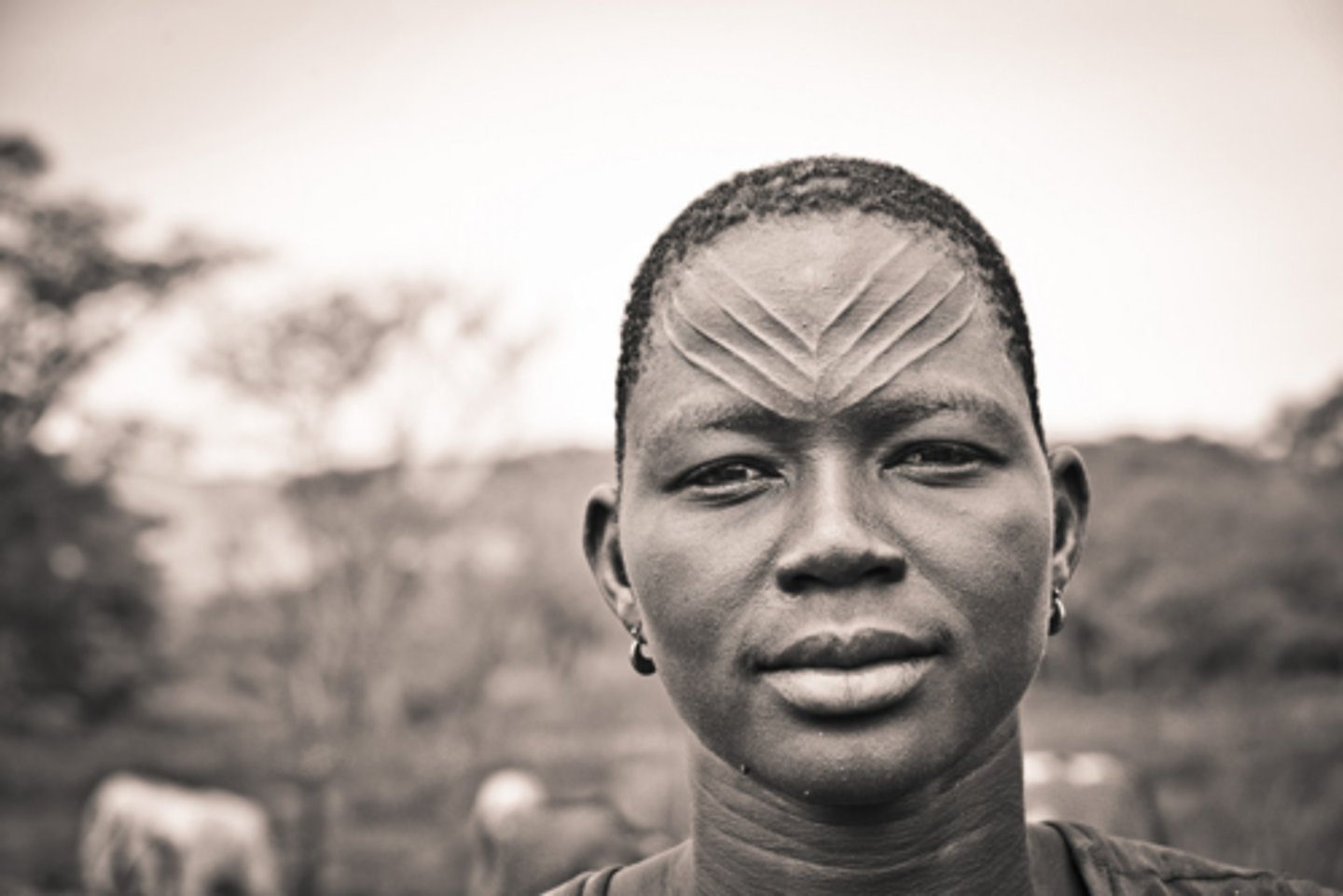 <p>ethnic group of South Sudan; Salva's tribe</p>