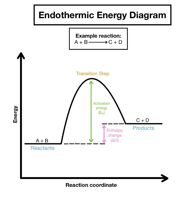 <p>-bonds are <strong>broken</strong></p><p>-energy is <strong>taken in</strong></p><p>-temperature <strong>decreases</strong></p><p>-products have <strong>more </strong>energy</p><p>-enthalpy change is <strong>positive</strong></p>