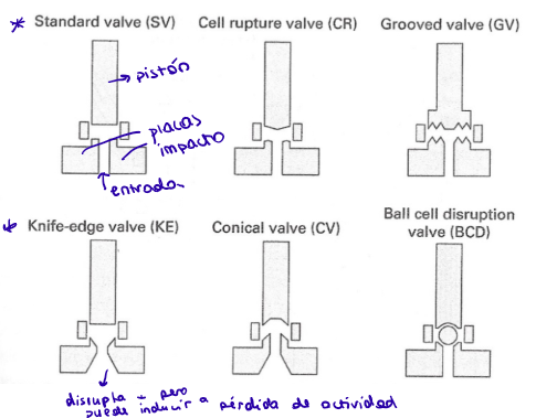 <ul><li><p>Standard valve → más común</p></li><li><p>Cell-rupture valve</p></li><li><p>Grooved valve</p></li><li><p>Knife-edge valve → más común</p></li><li><p>Conical valve</p></li><li><p>Ball cell disruption valve</p></li></ul><p></p>