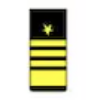<p>One gold 2-inch stripe below three gold 1/2- inch stripes below a gold five pointed star (O10)</p>