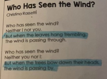 <p>What is the effect of personification in the poem?</p>