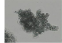 <p>What is the name of this cell type?</p>