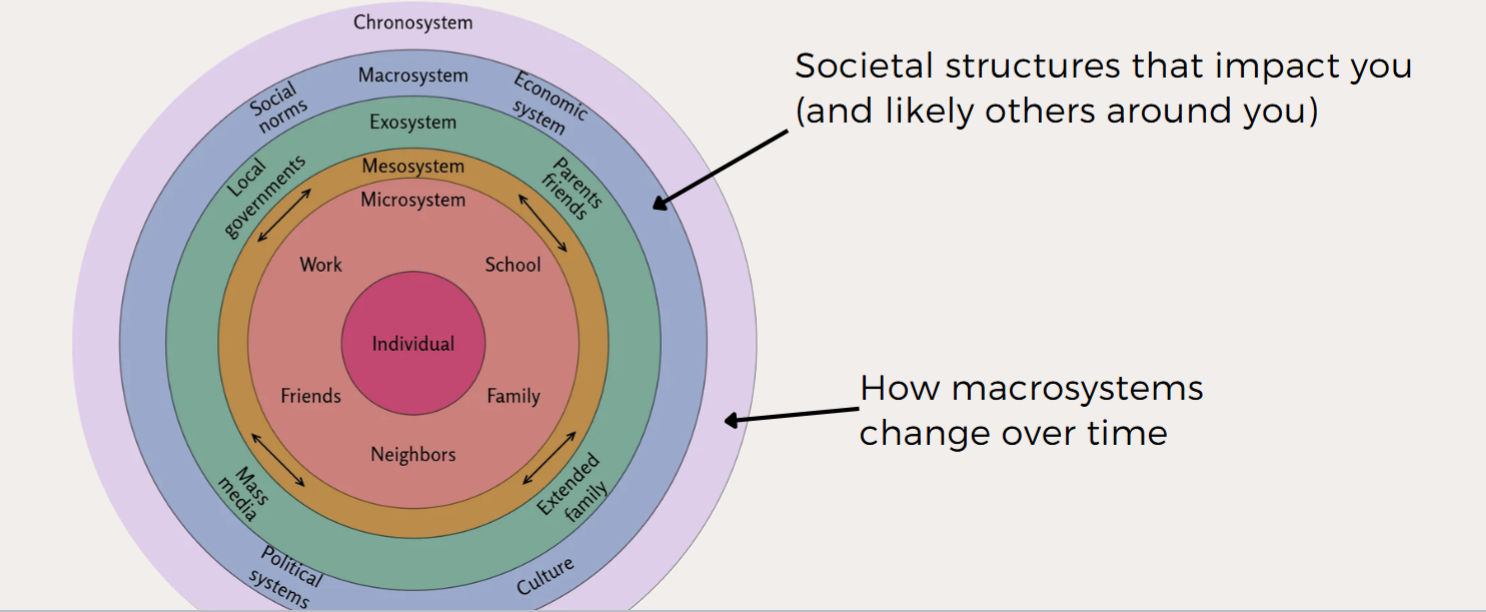 <p>a person’s development is shaped by their environment</p><ul><li><p>from microsystems → macrosystems, chronosystems</p></li></ul><p></p>