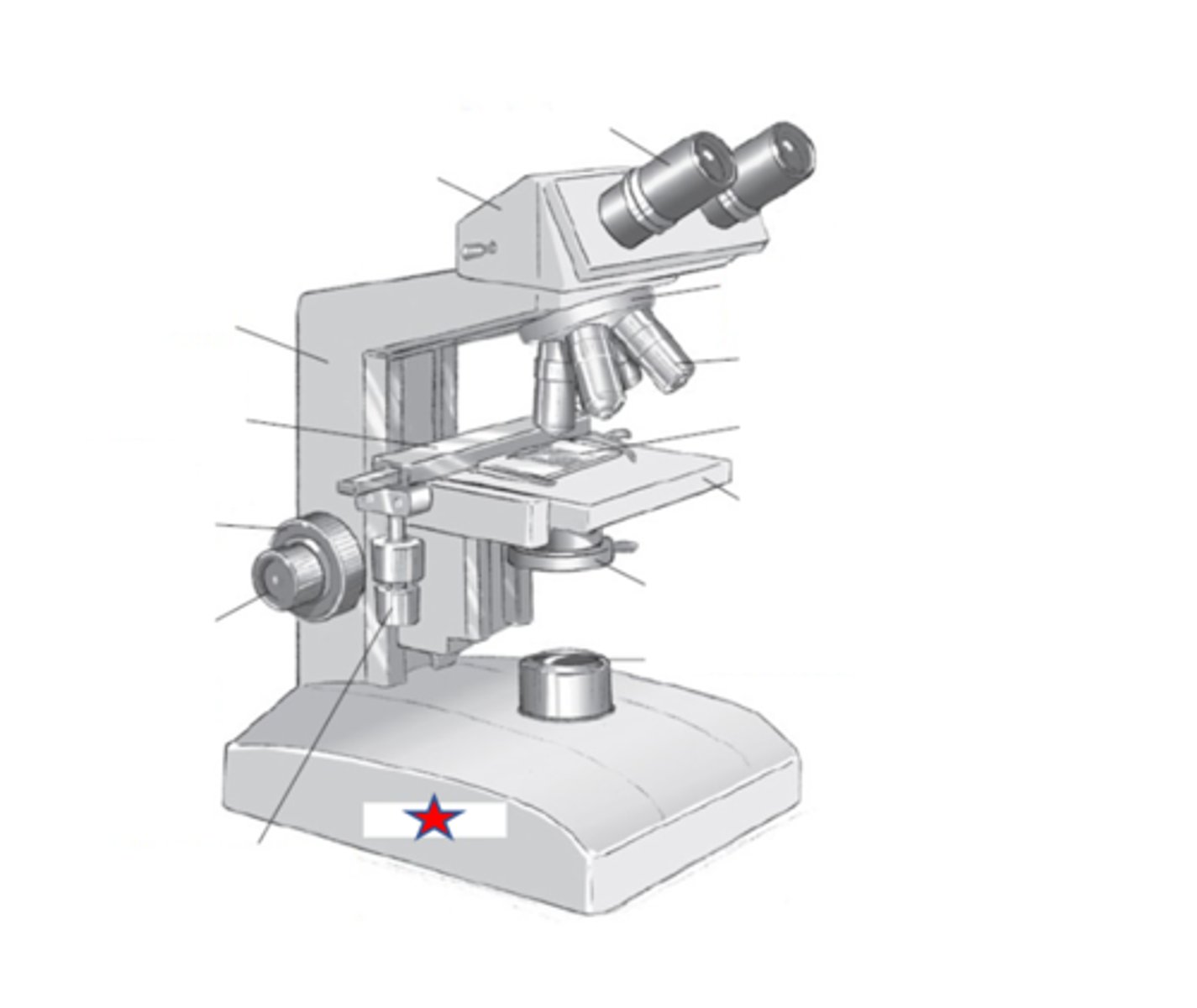 <p>Name the starred region in the image.</p>