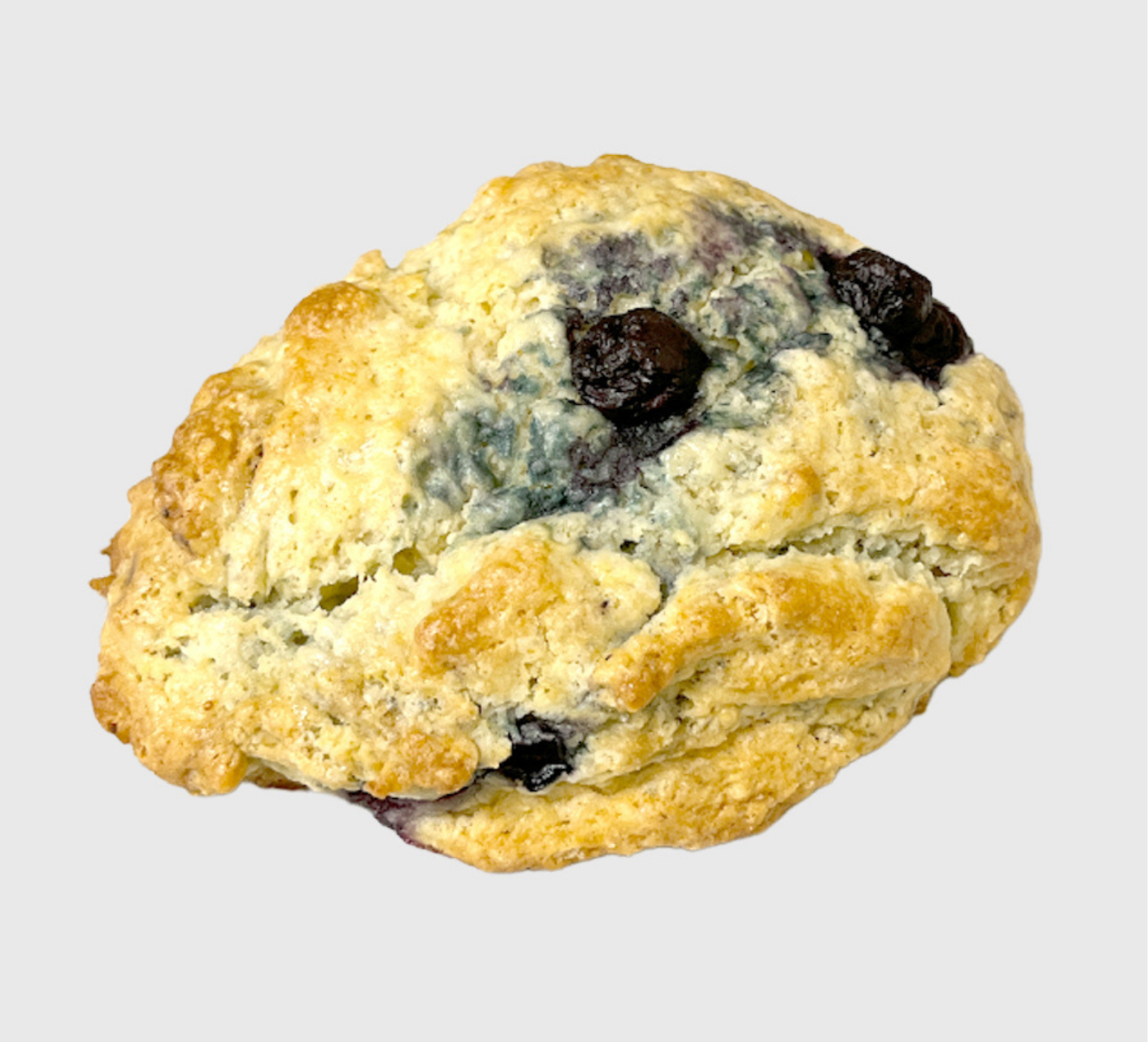 <p>Blueberry Scone</p>