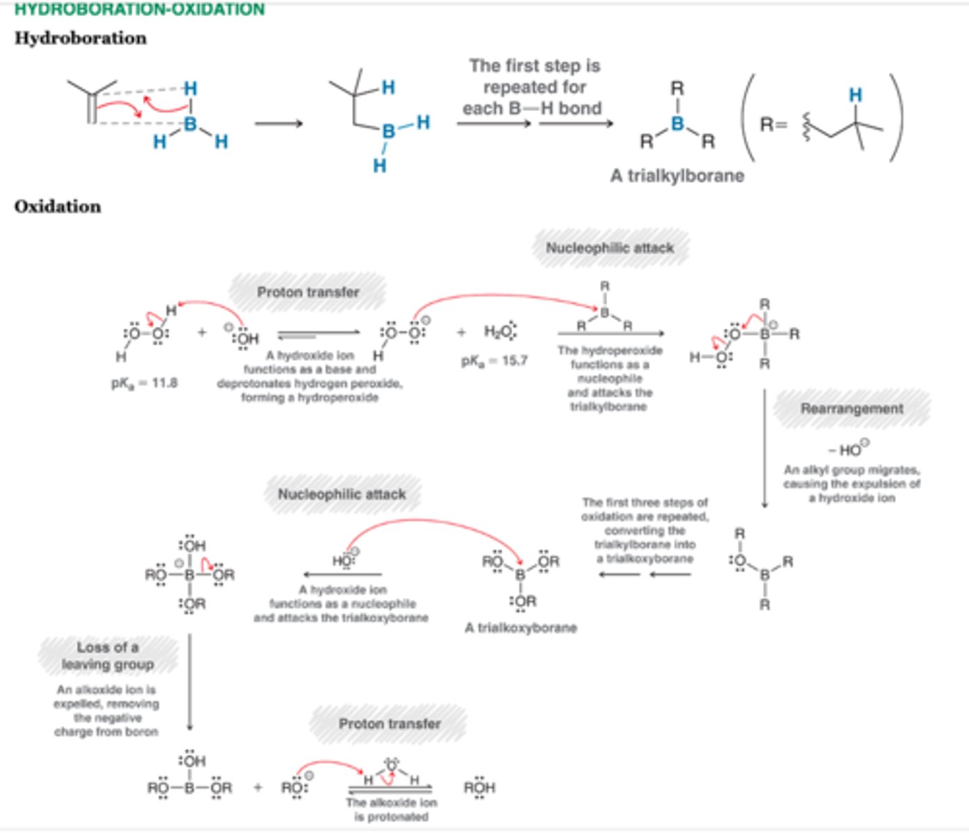 <p>-Anti-Markovnikov addition</p><p>-Undergoes Syn addition</p><p>-BH2 is installed at less substituted position and OH is installed at the less substituted position</p><p>-1 chiral center= racemix mixture</p><p>-2 chiral centers= syn addition</p><p>1. BH3, THF</p><p>2. H202, NaOH</p>
