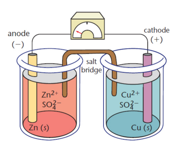 <p>nonrechargeable spontaneous batteries; two electrodes of distinct chemical identity are placed in separate compartments connected to each other by a conductive material</p><p>ΔG &lt; 0</p><p>E<sub>cell</sub> &gt; 0</p>