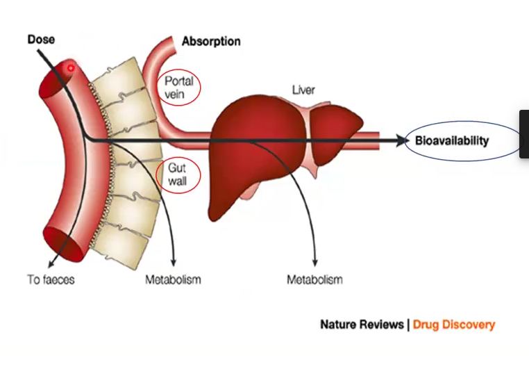 <p>The process of biochemical reactions transforming drug molecules into inactive, less toxic and more polar metabolites</p><ul><li><p>Starts after drug is absorbed systemically but before it is eliminated</p></li><li><p>Occurs before absorption by gut wall enzymes or on 1st pass through liver</p></li></ul><p></p>