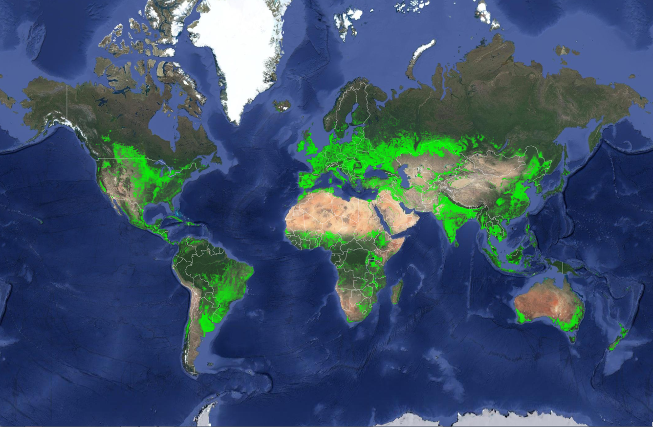 <p>Land that is suitable for farming, meaning it can be plowed and used to grow crops</p><p>Factors that determine arable land - </p><ul><li><p>Climate</p></li><li><p>Soil Quality</p></li><li><p>Topography</p></li><li><p>Water Access</p></li></ul><p></p>