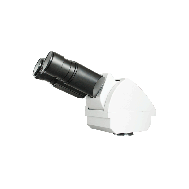 <p><span><span>Holds the eyepiece lens in place above the objective lens, positioning it for viewing.</span></span></p>