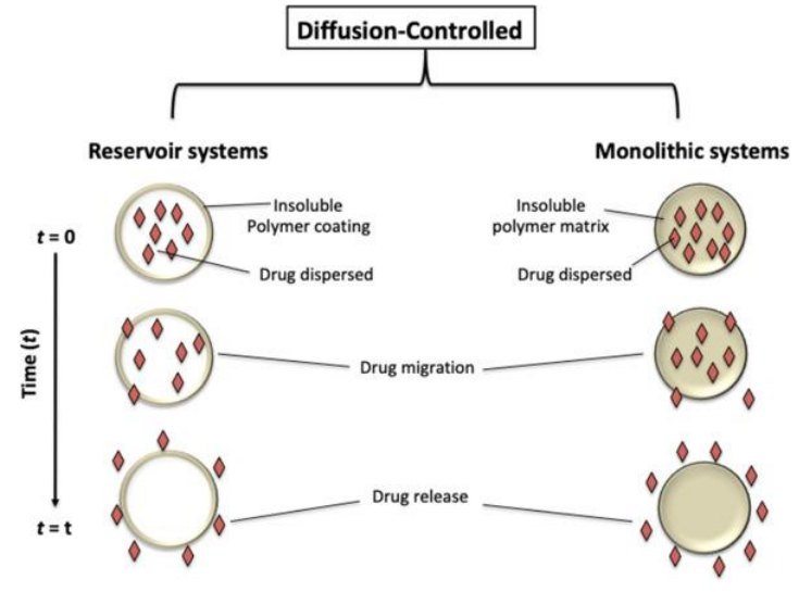 <ul><li><p><strong>Diffusion-controlled release</strong>: The drug is released by slowly moving through a <strong>non-dissolving</strong> barrier. The barrier doesn’t dissolve, it just lets the drug pass through slowly.</p></li></ul><p></p>