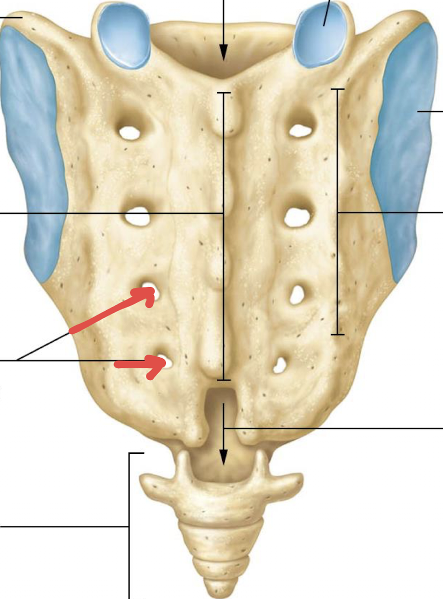 <p>what is this?</p>
