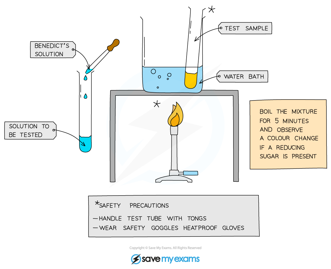 <ul><li><p>add <strong>Benedict’s solution </strong>to a sample solution in a test tube</p></li><li><p><strong>heat </strong>in a water bath for <strong>5 minutes</strong></p></li><li><p>take the test tube out of the bath and <strong>observe the colour</strong></p></li><li><p>positive test shows a colour change from <strong>blue to brick red</strong></p></li></ul><p></p>