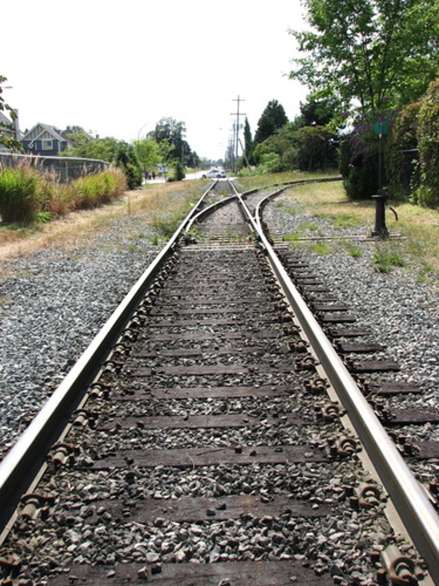 <p>track (line)</p>