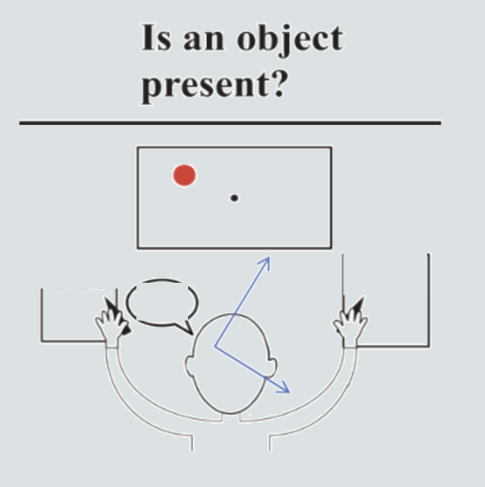 <p>What will a split brain patient report:</p><p>1) Verbally?</p><p>2) Writing with the left hand?</p><p>3) Writing with the right hand?</p>