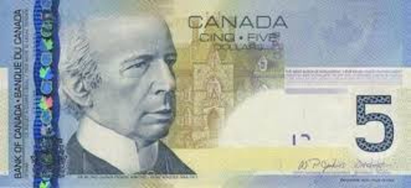 <p>canadian dollars (slang)</p>