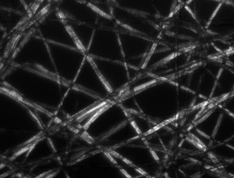 <p>what type of illumination is this</p>