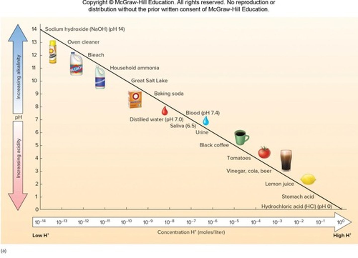 <p>Measures the amount of hydrogen ions in concentration</p>