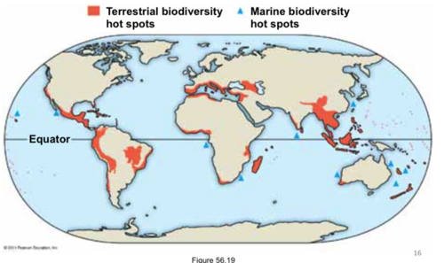 <p>Small area with many species found nowhere else in the world (aka endemic species) and lots of endangered species</p><p>less than 1.5% of Earth&apos;s land but are home to more than a third of all species of plants, amphibians, reptiles (including birds), and mammals. Aquatic ecosystems also have hot spots, such as coral reefs and certain river systems.</p>