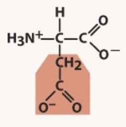 Polar negative
pKa 3.9
-A before G, 1 methyl before 2
-ATE means carboxyl (O -/H, =O)