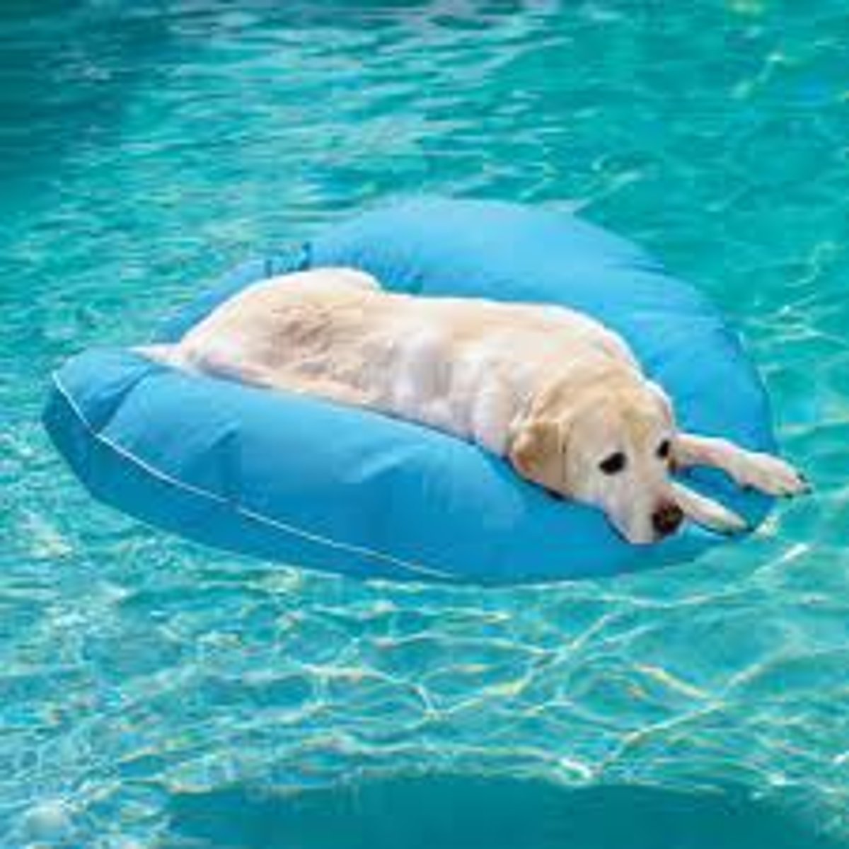 <p>1. to stay on the surface of a liquid and not sink</p><p>2. to move smoothly and attractively</p>