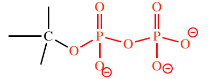 <p>-diphosphate</p>