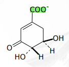 <p>[SHIKIMIC ACID PATHWAY] What is the Step 4 in Shikimic Acid Pathway</p>