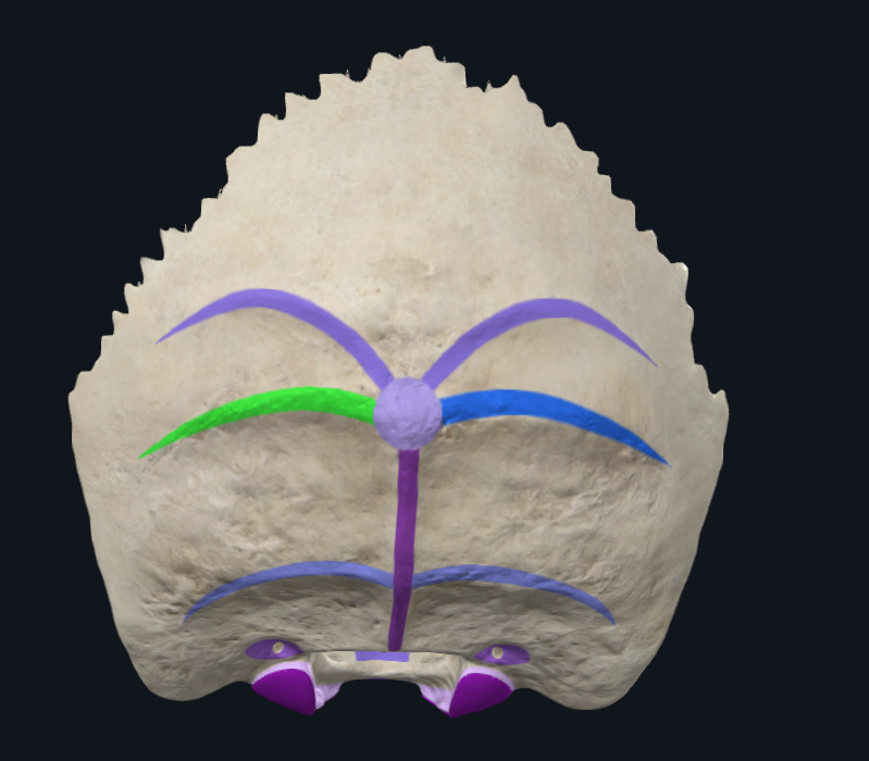 <p>What is highlighted in green</p>