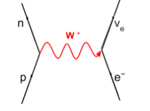 <p>what is the equation for electron capture and electron-proton collision</p>