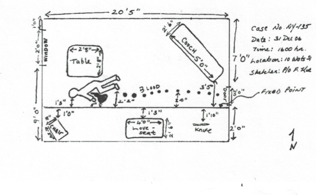 <p>What type of sketch are you looking at on the diagram below?</p>