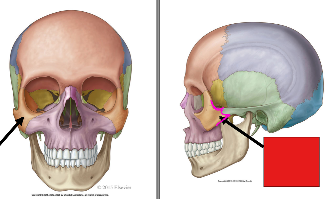 <p>fill in the red box:</p>