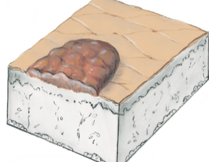 Crust 