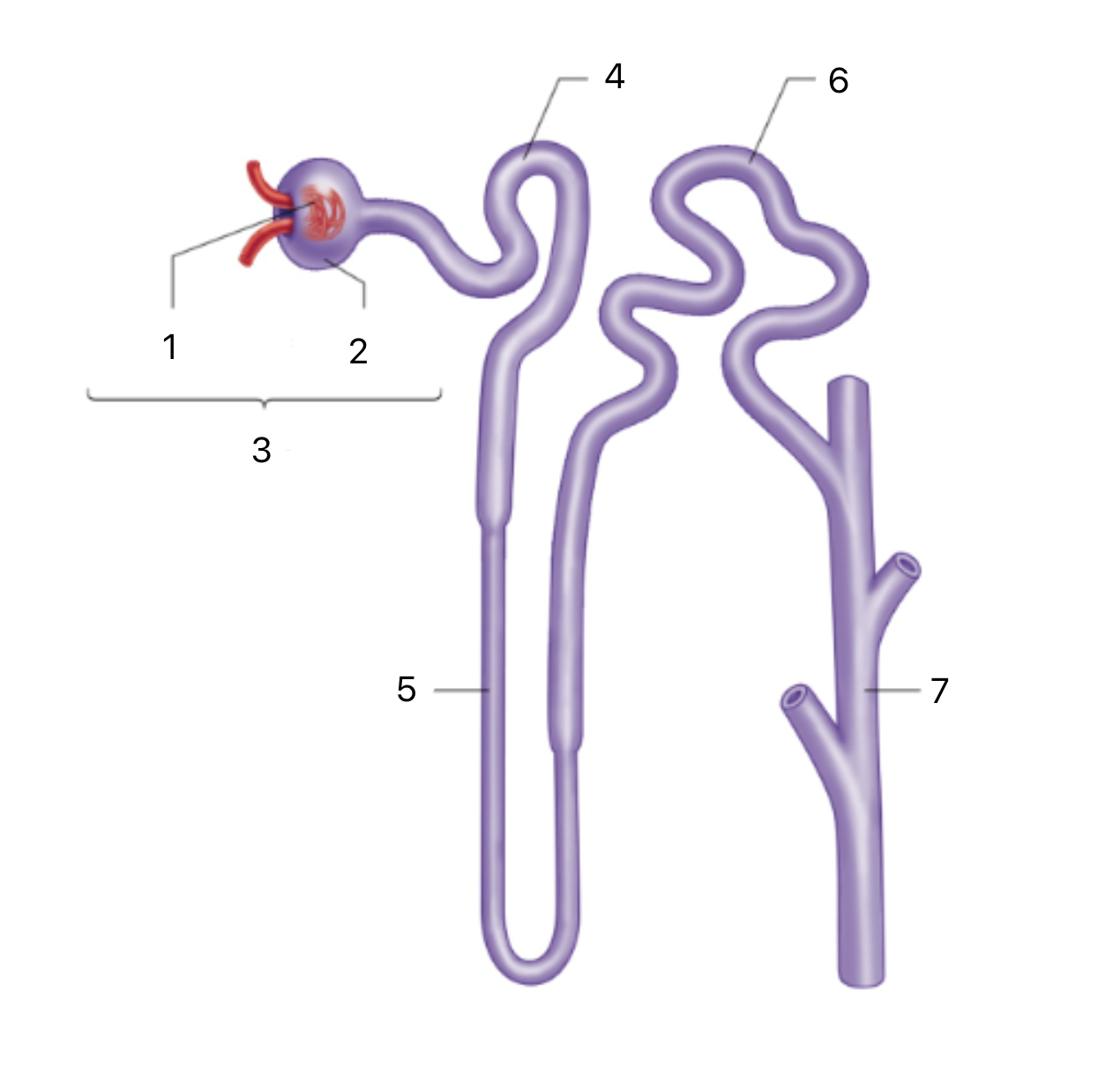 <p>5</p>