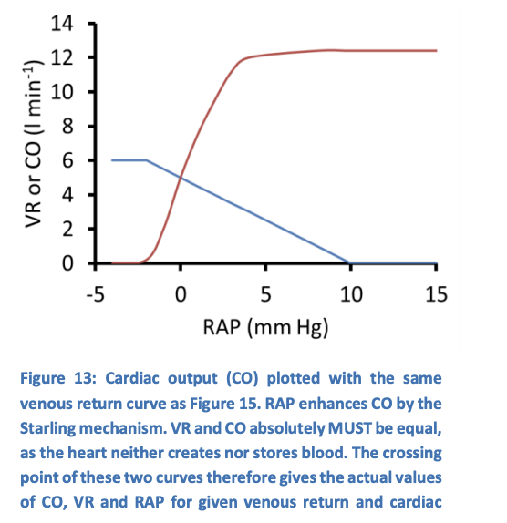 <ul><li><p>consider venous blood flow at different values of RAP</p></li></ul><p></p>