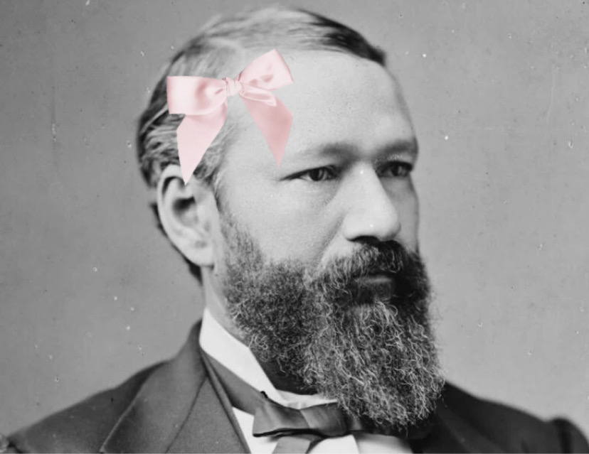 <p>Plessy v. Ferguson</p>