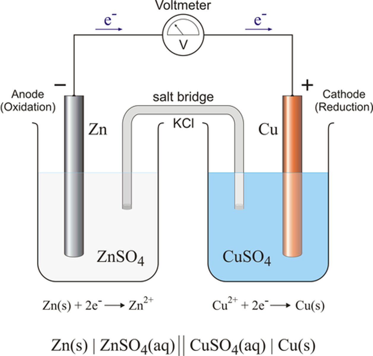 <p>-spontaneous</p><p>- anode=negative</p><p>-cathode=positive</p>