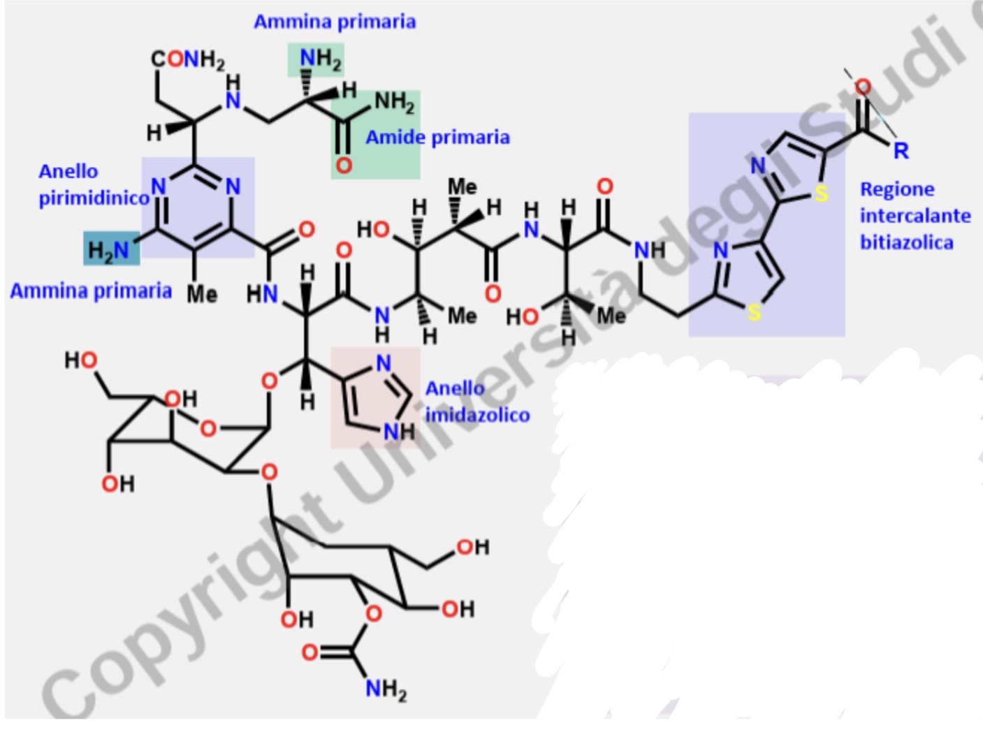 <p>Riconosci la molecola </p>