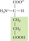 <p>What is the 3 letter abbreviation for Glutamic Acid?</p>