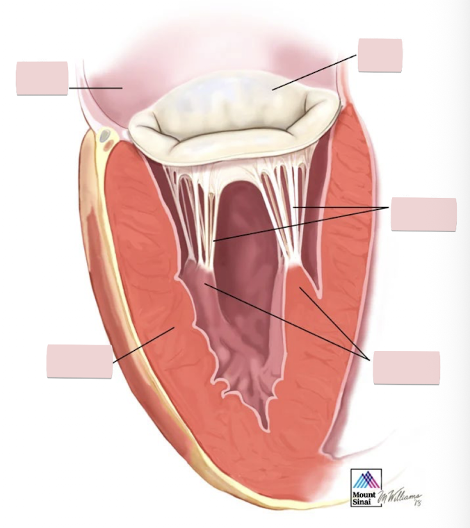 <p>Label the figure</p>