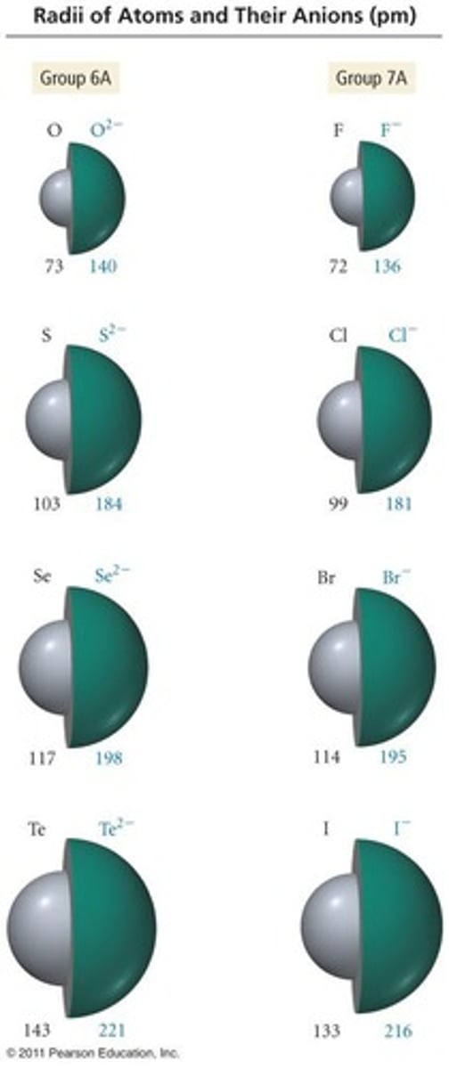 <p>Cl- has a charge of -1 because it gains one electron to achieve a fully filled n=3 orbital.</p>