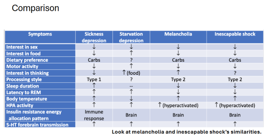 <p>sickenss behaviour - Conserves energy for immune response.</p><ul><li><p>ahedoinna p loss in interst in sex and food → promotes eergy reallocation to immune system in tead of sogntiio soical asn phsycail aocotut, gowth, etc</p></li><li><p>more fagiuge, less cognitve effort</p></li><li><p>eat more carbs nad less iron foods</p></li><li><p>sleep more, less REM sleep</p></li><li><p>increase core body temp</p></li><li><p><strong>Insulin resistance (IR)</strong> redirects glucose to immune tissues.</p></li></ul><p></p><p>starvation depression - Prioritize brain and foraging over reproduction or immunity.</p><ul><li><p><strong>Anhedonia:</strong> lost interest in sex/humor, but not food</p></li><li><p><strong>Fatigue:</strong> rest more but <strong>still forage actively</strong></p></li><li><p><strong>Eat less:</strong> prefer protein</p></li><li><p><strong>Low core temp</strong></p></li><li><p><strong>Weakened immunity</strong></p></li></ul><p><span data-name="brain" data-type="emoji">🧠</span> <strong>Adaptive purpose:</strong> Prioritize brain and foraging over reproduction or immunity.</p><ul><li><p>Energy reallocated to <strong>brain</strong> (hypothalamus, mesolimbic reward system).</p></li><li><p><strong>Insulin sensitivity (IS)</strong> increases in brain → fuels foraging cognition.</p></li><li><p><strong>IR</strong> in muscle = energy saving.</p></li></ul><p></p><p>Melancholia - deep though</p><ul><li><p><strong>Anhedonia:</strong> loss of interest in food/sex, but ↑ interest in thoughts</p></li><li><p><strong>Sleep less:</strong> more REM (memory consolidation)</p></li><li><p><strong>Fever-like body temp</strong></p></li><li><p><strong>High cortisol (HPA axis activation)</strong></p></li><li><p>Shift from social/physical activity → <strong>cognitive focus</strong>.<br>→ Promotes <strong>rumination</strong> (deep analytical thought). - persistant distractino-resistant thoughts</p></li></ul><p></p>