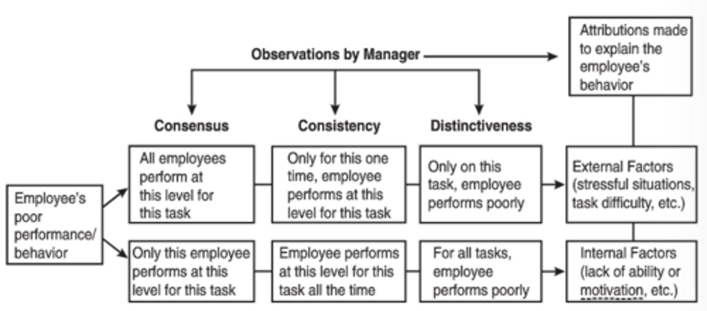 <p>How managers' perceive the actions of their subordinates.</p><p>Manager Observations:</p><p>-Consensus</p><p>-Consistency</p><p>-Distinctiveness</p>